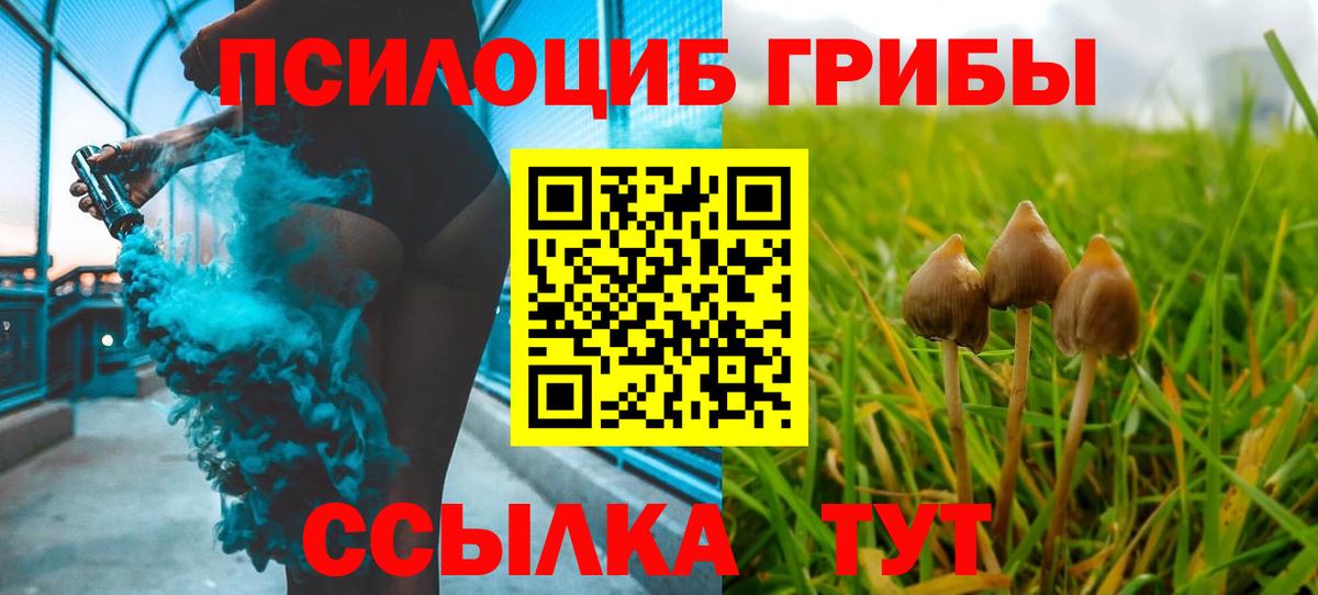 Псилоцибиновые грибы Cubensis Улан-Удэ